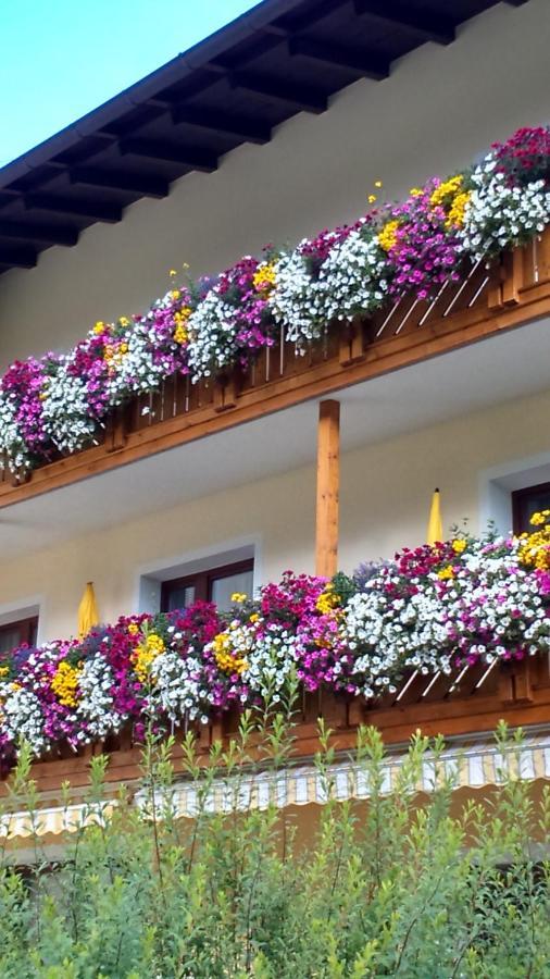 Fremdenpension Alpenruhe เซิลเดน ภายนอก รูปภาพ